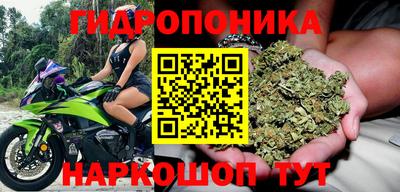винт Кимры