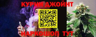 apvp Кингисепп