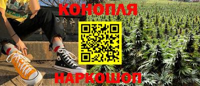 apvp Кингисепп