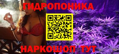 бошки Кинель