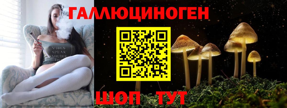 Галлюциногенные грибы Psilocybine cubensis  Вход с VPN  Великий Новгород 